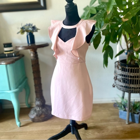 NWT BCBGeneration Cutout Ruffled Mini Sheath Dress Pink Rose Smoke Size 4 - Picture 8 of 9